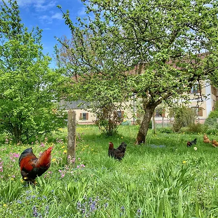 Bauernhof Geigerhof Aschau im Chiemgau
